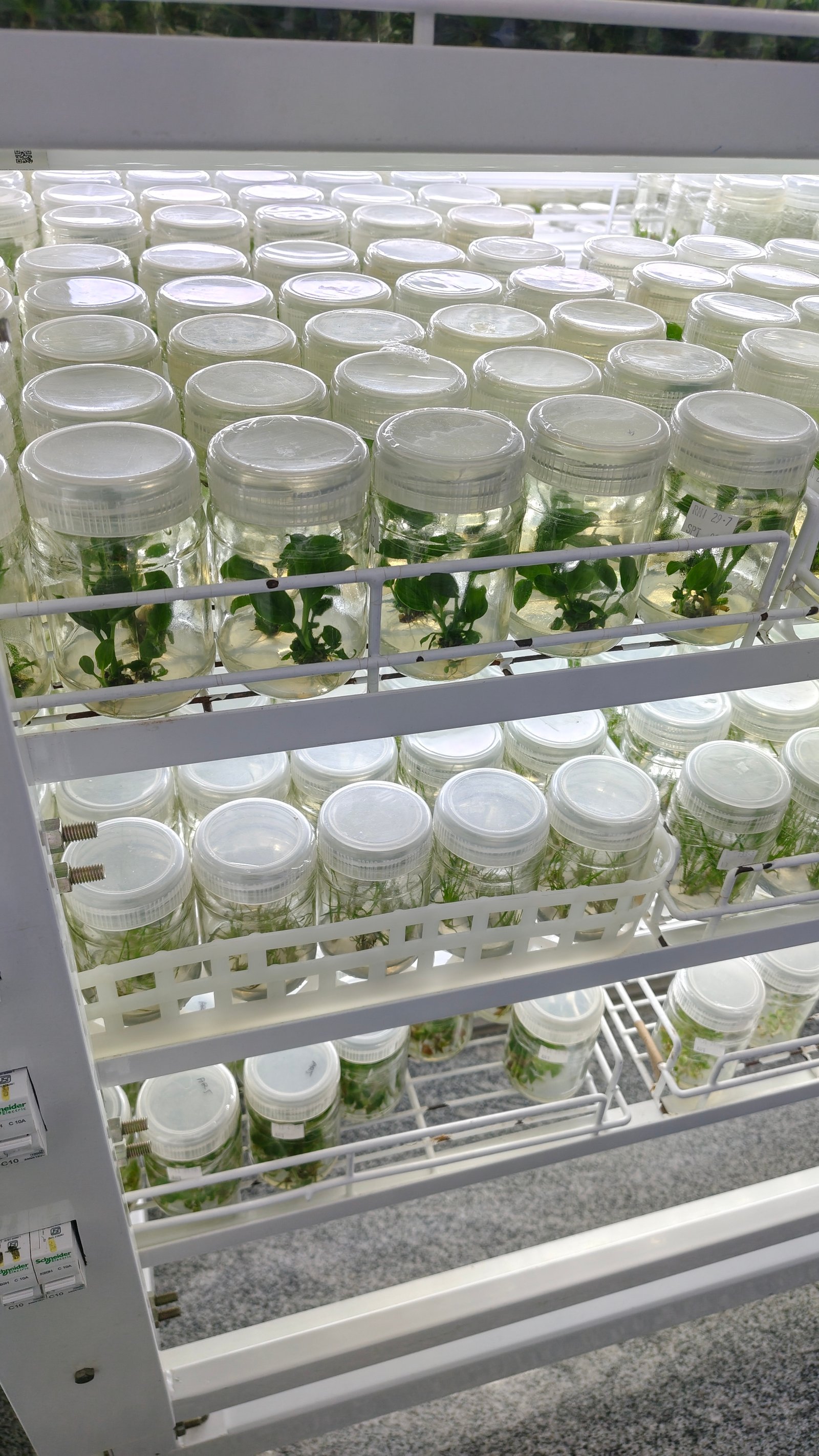 Laboratory facility